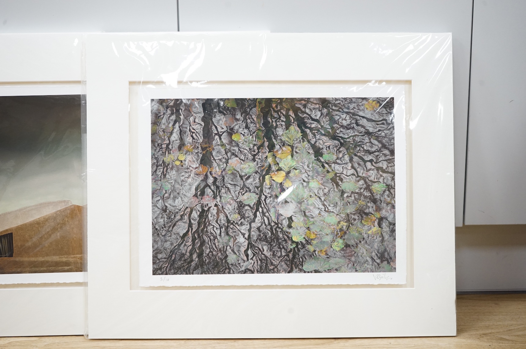 Valda Bailey (Contemporary), three abstracts to include Study of a flower and leaves, photographic prints, each pencil signed and numbered, mounted, 33 x 44cm, unframed
